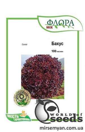 Салат Бахус 100 нас. А (Hazera) Салат Бахус 100 нас. А (Hazera)