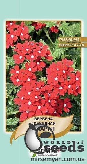 Вербена гібридна низькоросла Спаркл - 0,1 г А Вербена гібридна низькоросла Спаркл - 0,1 г А
