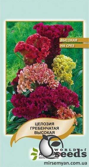 Целозія гребінчаста висока, суміш 0,1 гр. А
