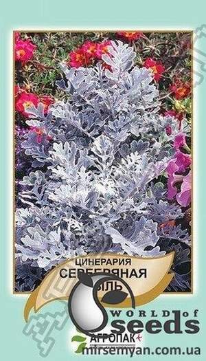 Циненарія срібний пил 0,1 г