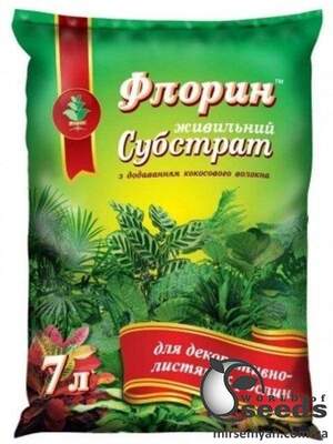 Субстрат Субстрат