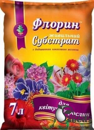 Субстрат Субстрат
