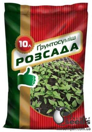 Субстрат Субстрат