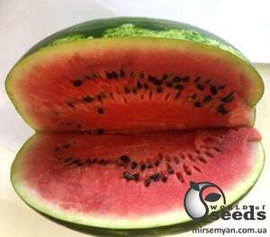 Кавун Дата F1 1 000 семена Lark Seesd USA