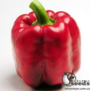 Насіння перцю Крусадер F1, 500 нас. (Syngenta)