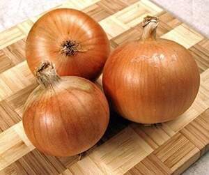 Цибуля саджанка Болеро, 0,5 кг (Nederland)