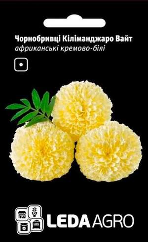 Чорнобривці Кіліманджаро Вайт, африканські кремово-білі 0,2гр.L Чорнобривці Кіліманджаро Вайт, африканські кремово-білі 0,2гр.L