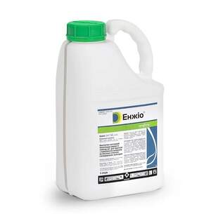 Инсектицид Энжио 5 л Syngenta Инсектицид Энжио 5 л Syngenta