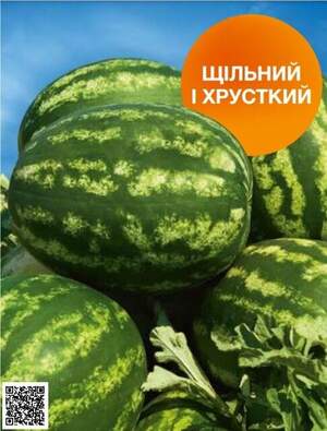 Арбуз Балатон F1 1000 семян. (Syngenta) Арбуз Балатон F1 1000 семян. (Syngenta)