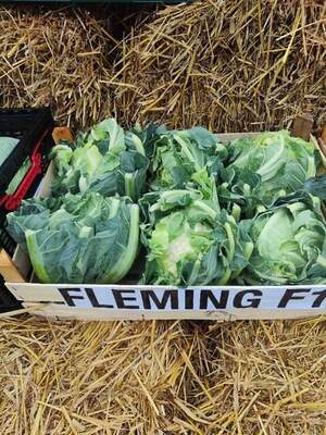 Капуста цвітна Флемінг/Fleming F1,  1000 нас.  (Syngenta)